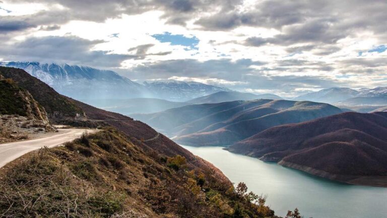 Is Cricbet99 Available In Kannada Language?